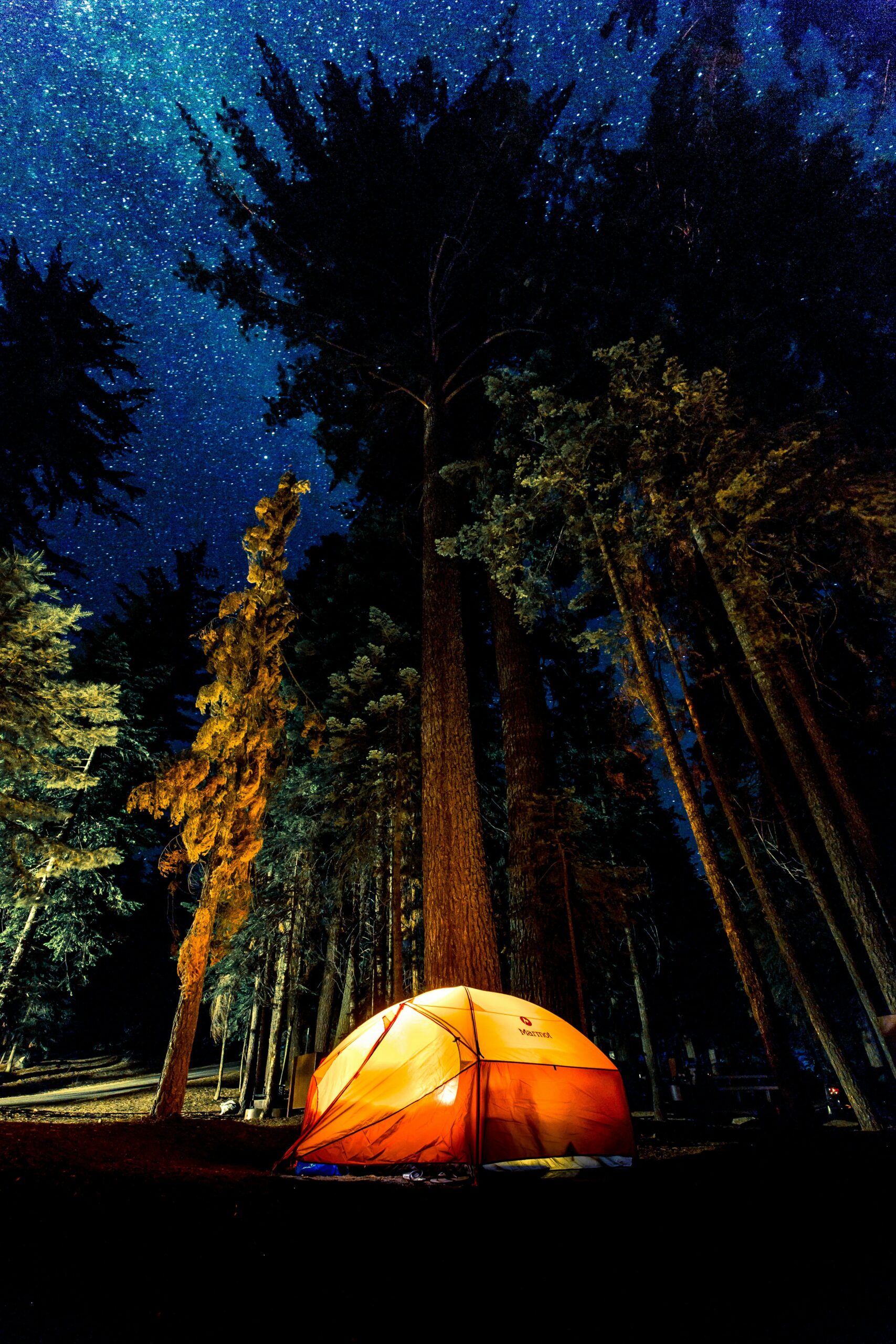 Stay Comfortable with the Right Camping Essentials